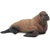 Image de Figurine animaux marins : Bébé morse Collecta-COL88570