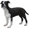Image de Figurine Chien : American Staffordshire Terrier Collecta-COL88610