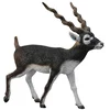 Image de Figurine Antilope Collecta-COL88638