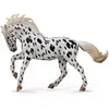 Image de Figurine Cheval XL : Jument Knabstrup Léopard Noir Collecta-COL88720