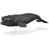 Image de Figurine Animal Marin (XL): Baleine franche Collecta-COL88740