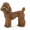 Image de Figurine caniche Collecta-88880