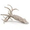 Image de Figurine Belemnite (L) Collecta-COL88904