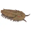 Image de Figurine Préhistoire (L): Redlichia Rex Trilobite Collecta-COL88906