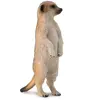 Image de Figurine Animaux Sauvages (S): Suricate Collecta-COL88913