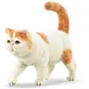 Image de Figurine Chat : Exotic Shorthair Collecta-COL88937