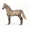 Image de Figurine Chevaux : Étalon Morgan Collecta-COL88979