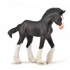 Image de Figurine Cheval (M): Poulain Noir Clydesdale Collecta-COL88982