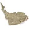Image de Figurine Animal Marin (M): Requin-Ange Collecta-COL88999