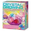 Image de Science in action: CRYSTAL GROWING - LICORNE 4M-5603928