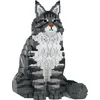 Image de Jecka, Blocs De Construction - Chat Maine Coon Gris Assis