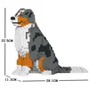 Image de Jecka, Blocs De Construction - Chien Berger Australien Bleu Merle
