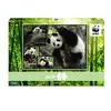 Image de Puzzle 1000 piÃ¨ces : Pandas