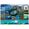 Image de Puzzle 1000 pièces : Tortues De Mer WWF-57850