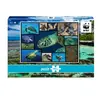 Image de Puzzle 1000 piÃ¨ces : Tortues De Mer