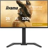 Image de iiyama 24.5" LED - G-Master GB2591HSU-B1 Gold Phoenix