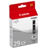 Image de Canon LUCIA PGI-29GY