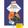 Image de Poèmes saturniens, fêtes galantes, romances sans paroles, Verlaine - Véronique Brémond - Hachette Education - broché - Scolaire / Universitaire broché