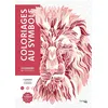 Image de Coloriages mystères - Coloriages au symbole - Sandrine Fourrier - Hachette Heroes - broché - Livre-jeu broché