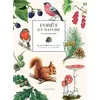 Image de Forêt et nature à colorier Planches détachables à colorier ou à peindre - Collectif - Larousse - relié - Livre-jeu relié