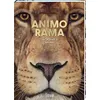 Image de ANIMO RAMA Incroyable Savane - Holger Haag - Larousse - cartonné - Document jeunesse