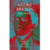 Image de Clair de terre / Le Revolver à cheveux blancs /L'Air de l'eau / Mont de Piété Précédé de Mont de piété suivi de Le Revolver à cheveux blancs et de L'Air de l'eau - André Breton - Gallimard - Poche - Poésie