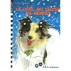 Image de Le Noël du chien de berger - - Lucy Daniels - Gallimard jeunesse - Livre (donnée non spécifiée)