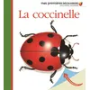 Image de La coccinelle - Collectif - Gallimard jeunesse - cartonné - Document jeunesse cartonné