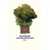 Image de Je suis l'arbre qui cache la forêt - Alice de Poncheville - Medium Edl - broché - Roman adolescent dès 13 ans