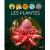 Image de Les plantes - Sabine Boccador - Fleurus - cartonné - Document jeunesse