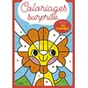 Image de Colo surprise avec les chiffr - Collectif - Lito - broché - Document jeunesse
