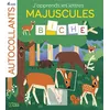 Image de Aut apprends lettres maj-foret - Aurélie Abolivier - Lito - broché - Document jeunesse broché