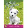 Image de Les chiots magiques - numéro 06 À la belle étoile - Sue Bentley - Pocket Jeunesse - Poche - Roman cadet dès 6 ans