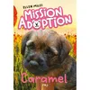 Image de Mission adoption - Tome 05 : Caramel - Ellen Miles - Pocket Jeunesse - Poche - Roman junior Poche