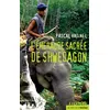 Image de L'émeraude sacrée de Shwedagon - Pascal Vatinel - Actes Sud Jeunesse - broché - Roman adolescent dès 13 ans broché