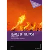 Image de Flames of Past - Christine Lara - Publibook - broché - Roman
