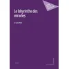 Image de Le labyrinthe des miracles - Le Sans-Nom - Mon Petit Editeur - broché - Roman broché