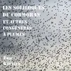 Image de Les soliloques du cormoran et autres congénères à plumes Et autres congénères à plumes - Eric Gautier Laurent - Atlande Eds - broché - Anthologie broché