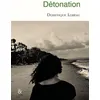 Image de Détonation - Dominique Loreau - Esperluète Eds - broché - Roman