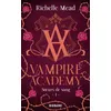Image de Vampire Academy, T1 : Soeurs de sang - MEAD-R+DEGRAVE-K+PAYET-A - Big Bang - Poche - Roman adolescent