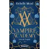 Image de Vampire Academy, T5 : Lien de l'esprit - Richelle Mead - Big Bang - Poche - Roman adolescent Poche