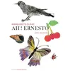 Image de Ah ! Ernesto - Marguerite Duras - Thierry Magnier Eds - broché - Album jeunesse dès 6 ans