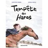 Image de Tempete au haras (bd) - Jérémie Moreau - Rue De Sevres - relié - Bande dessinée jeunesse relié