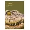Image de Yawara - Rodrigo Leão - Paulsen Eds - broché - Roman broché