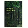 Image de Carnets indigènes - Miroslav Misak - Paulsen Eds - broché - Roman broché