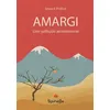 Image de Amargi - Une solitude arménienne - Imanol Peillen - Spinelle Eds - broché - Roman broché