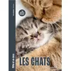 Image de Les Chats - Mille et un docs Un poster inclus ! - Pierre Bessière - Merci Les Livres - cartonné - Document jeunesse