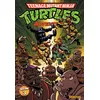 Image de Tortues Ninja : Teenage Mutant Ninja Turtles Adventures T03 Les Aventures des Tortues Ninja - Tome 03 - Collectif - Vestron - broché - Comics broché