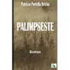 Image de Palimpseste - Patricia Portella Bricka - Douro - broché - Roman broché