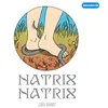 Image de Natrix Natrix - Léo Bret - L'articho - broché - Comics broché